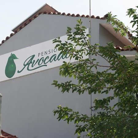 Pension Avocado Skiathos-Stadt Exterior foto